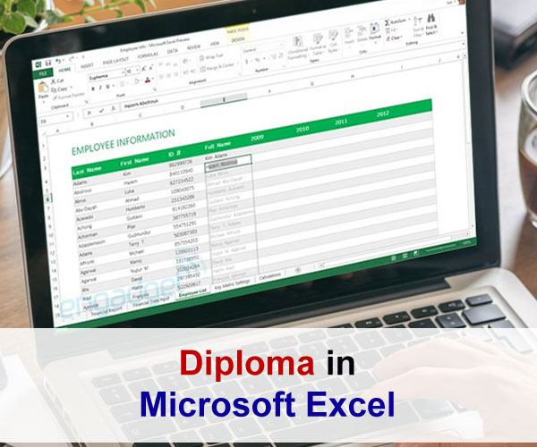 Diploma-in-Microsoft-Excel