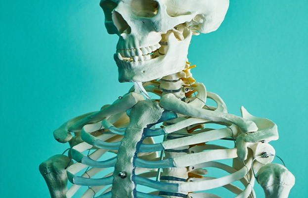 A-LEVEL BIOLOGY CIE