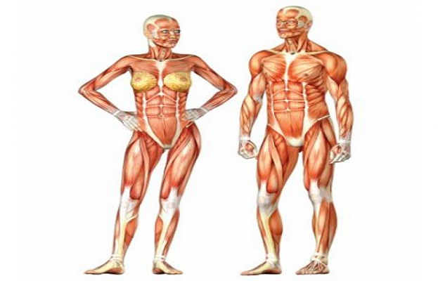 8 ONLINE IGCSE HUMAN BIOLOGY (9-1) - Image 1