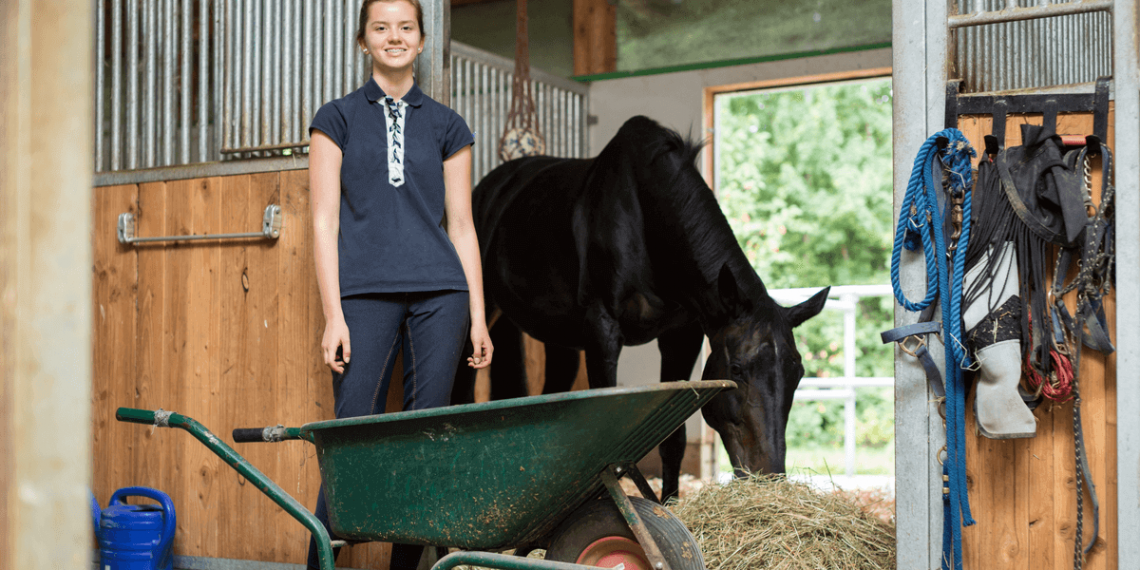 Horse-Care-Course-e1635349207455.png Horse Care and Stable Management Certification - Image 1