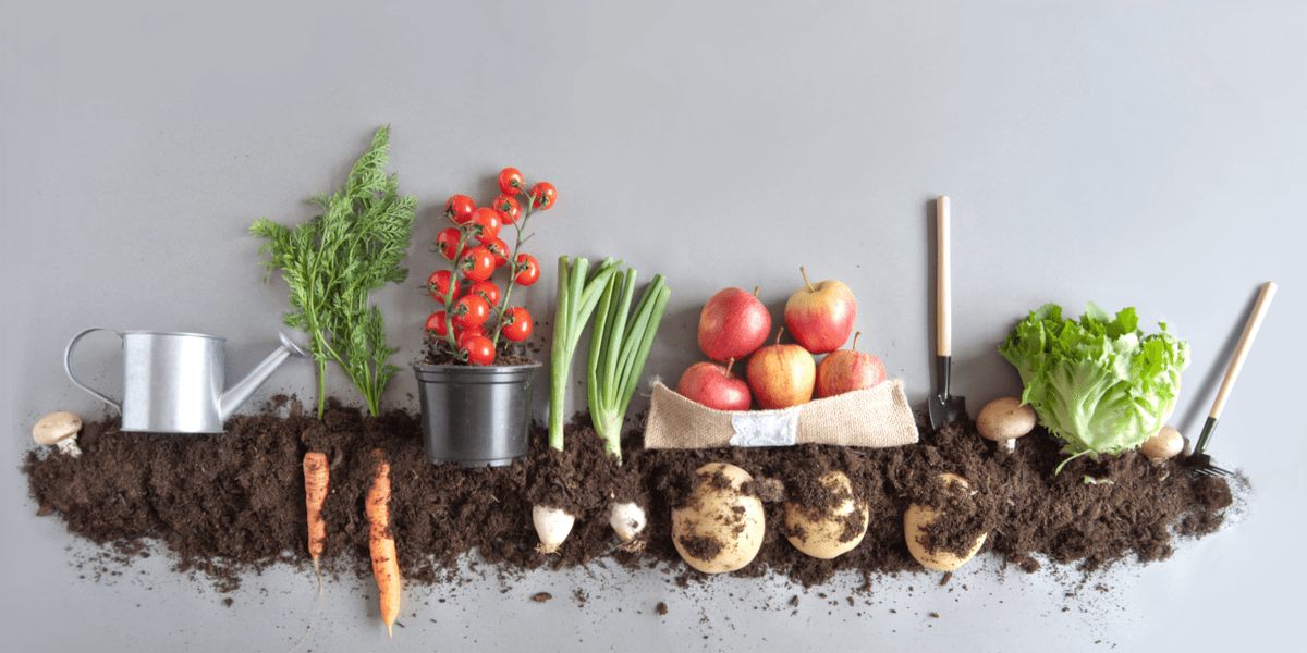 Organic Gardening Certification